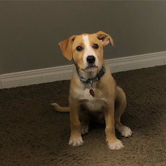 Meet your Posher, Cheryleandrandy - Picture 1 of 1